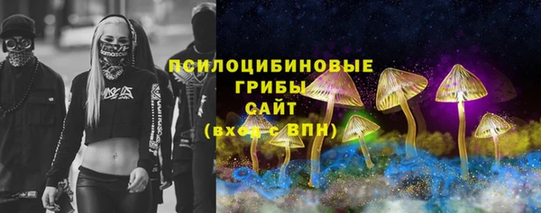 альфа пвп Заволжск