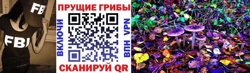 Галлюциногенные грибы ЛСД  Купить  Хвалынск 