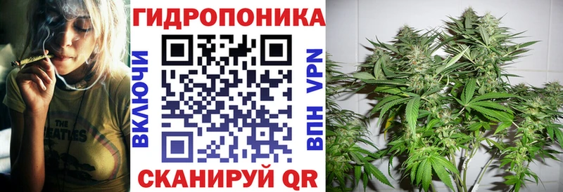 Марихуана планчик  Купить закладки  Хвалынск 